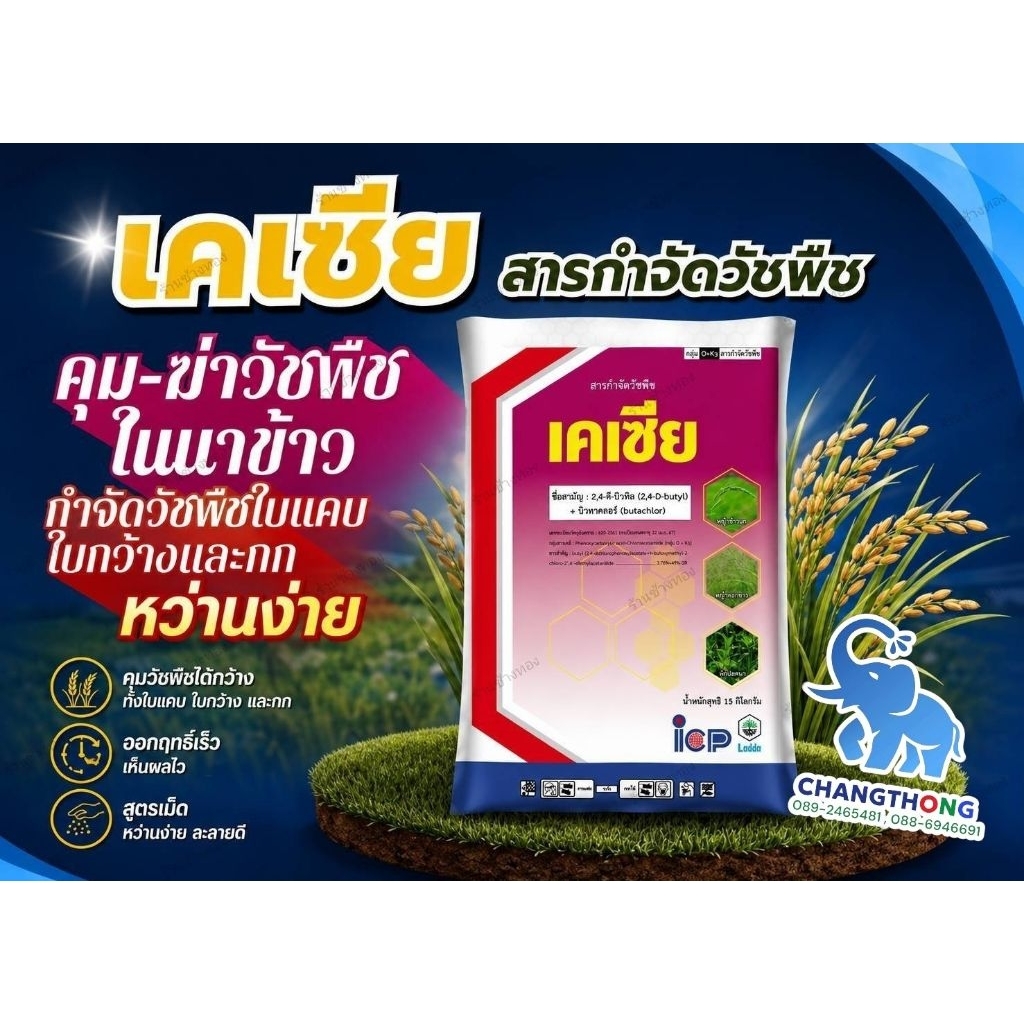 เคเซีย คุมหญ้า หว่านข้าว 7-12 วัน1 กระสอบ 15 กิโลกรัม ใช้ได้ 3-5 ไร่สำหรับนาดำว1 กระสอบ ขนาด 15 กิโลกรัม ใช้ได้ 3-5 ไร่