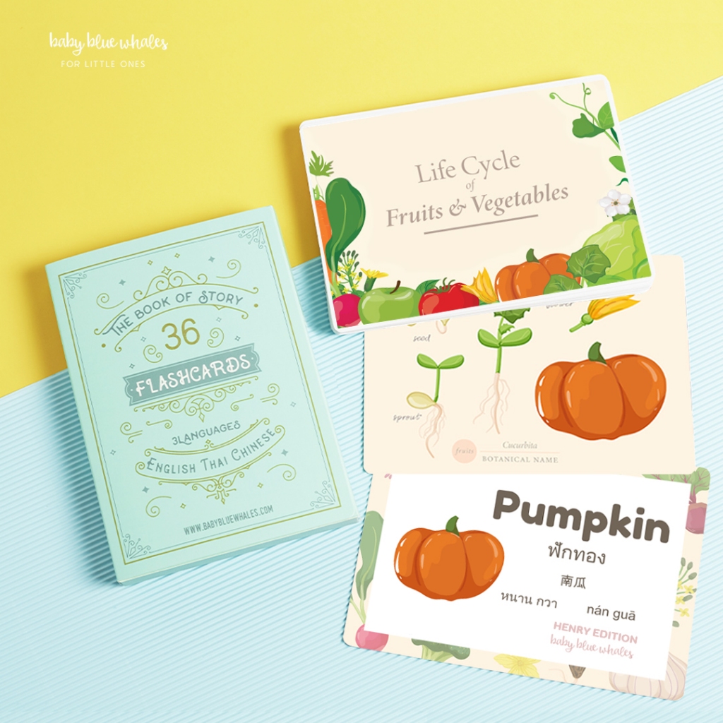 แฟลชการ์ด วงจรพืช / Plant Flashcards by Baby Blue Whales
