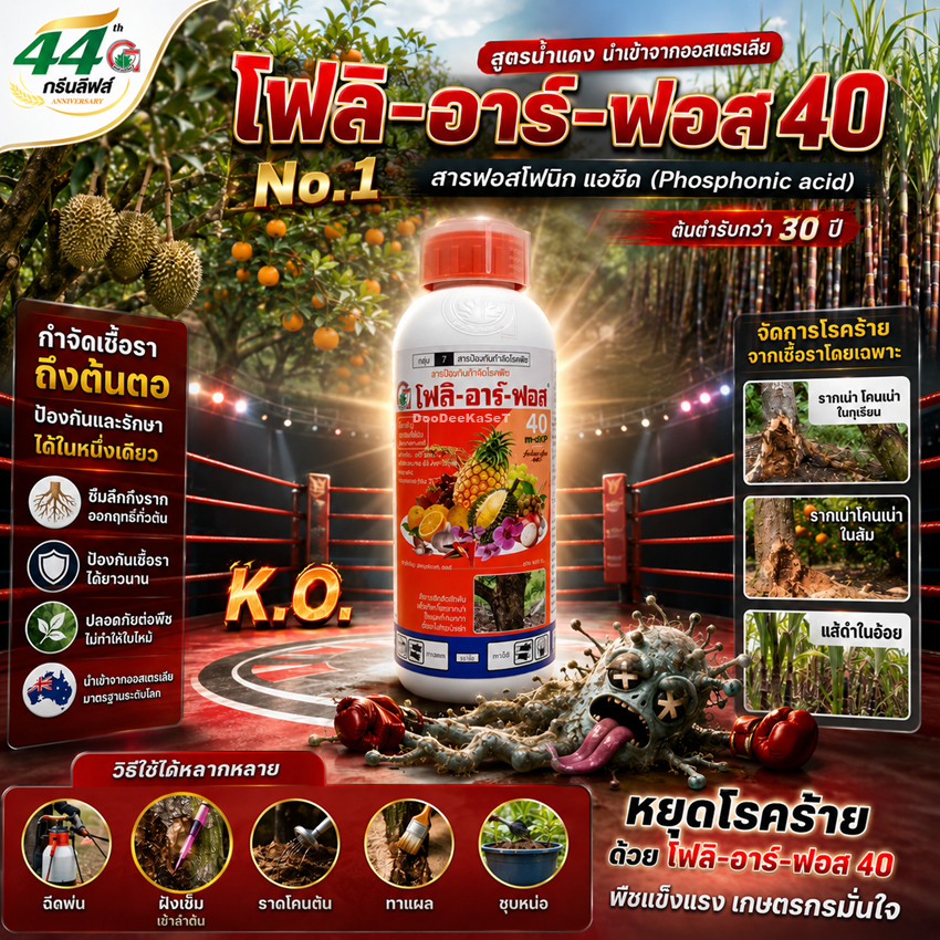 โฟลิอาร์ฟอส 40 สูตรน้ำแดง 1ลิตร ป้องกันและกำจัดโรครากเน่า โคนเน่า ในทุเรียน ส้ม และแส้ดำในไร่อ้อยได้