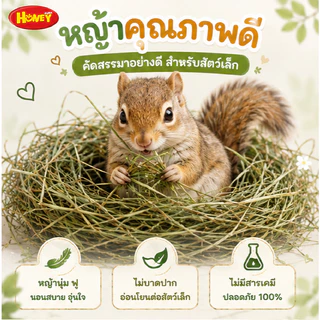 Honeypetzหญ้าทำรังกระรอกนกและสัตว์เล็กอื่นๆหญ้ารังนุ่มขนาด100-200กรัม ราคาถูกสุดๆหญ้านุ่มฟูไม่บาดปาก