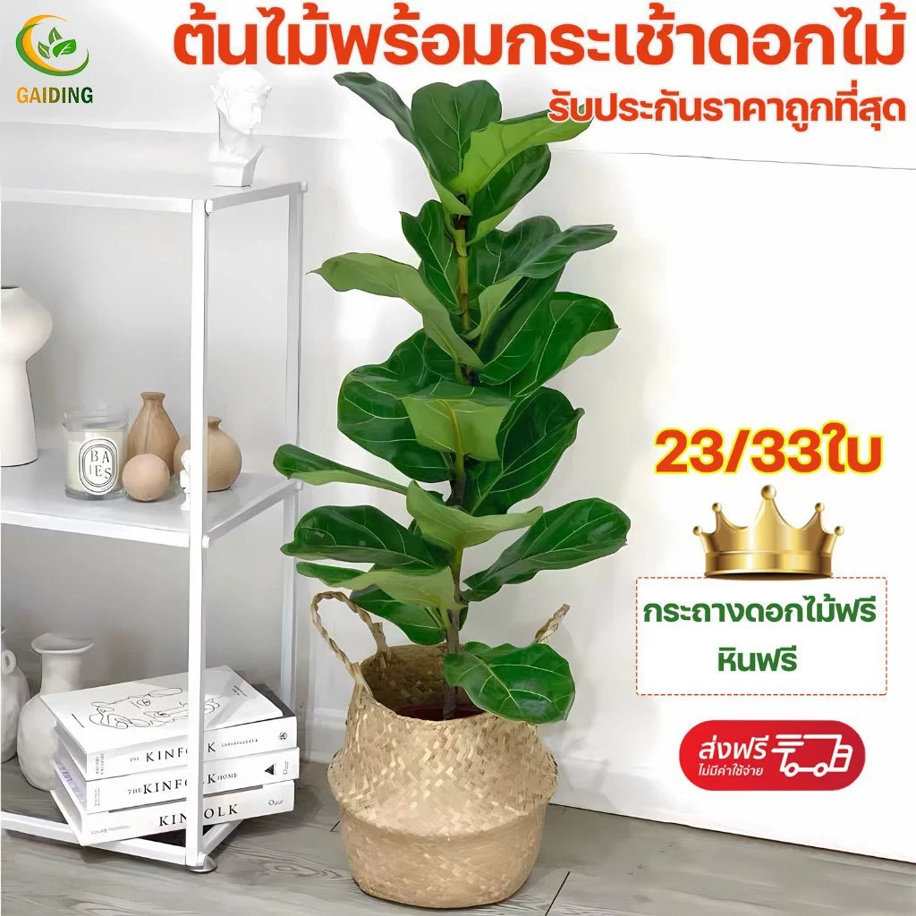 GAIDING-【การรับรองshopee:ซื้อแพงคืนเงินส่วนต่าง】GAIDING ต้นไม้ปลอม ต้นไม้มงคล ฟรีกระถางดอก+หินตกแต่ง ต้นไม้ตกแต่งมินิมอล