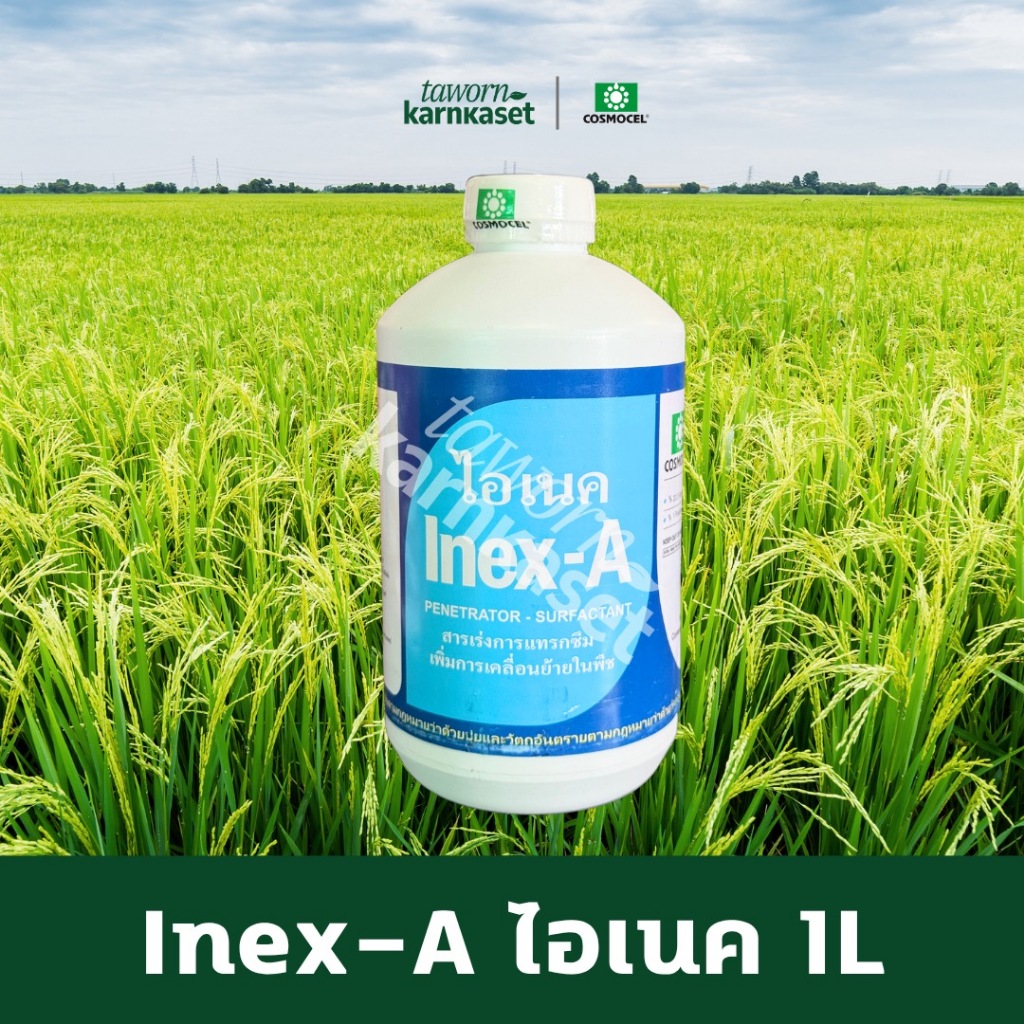 ไอเนค Inex-A (สารเพิ่มประสิทธิภาพ) ขนาด 1 ลิตร ตรา Cosmocel สารเพิ่มประสิทธิภาพ สารเร่งการแทรกซึม ลดการเกิดฟอง