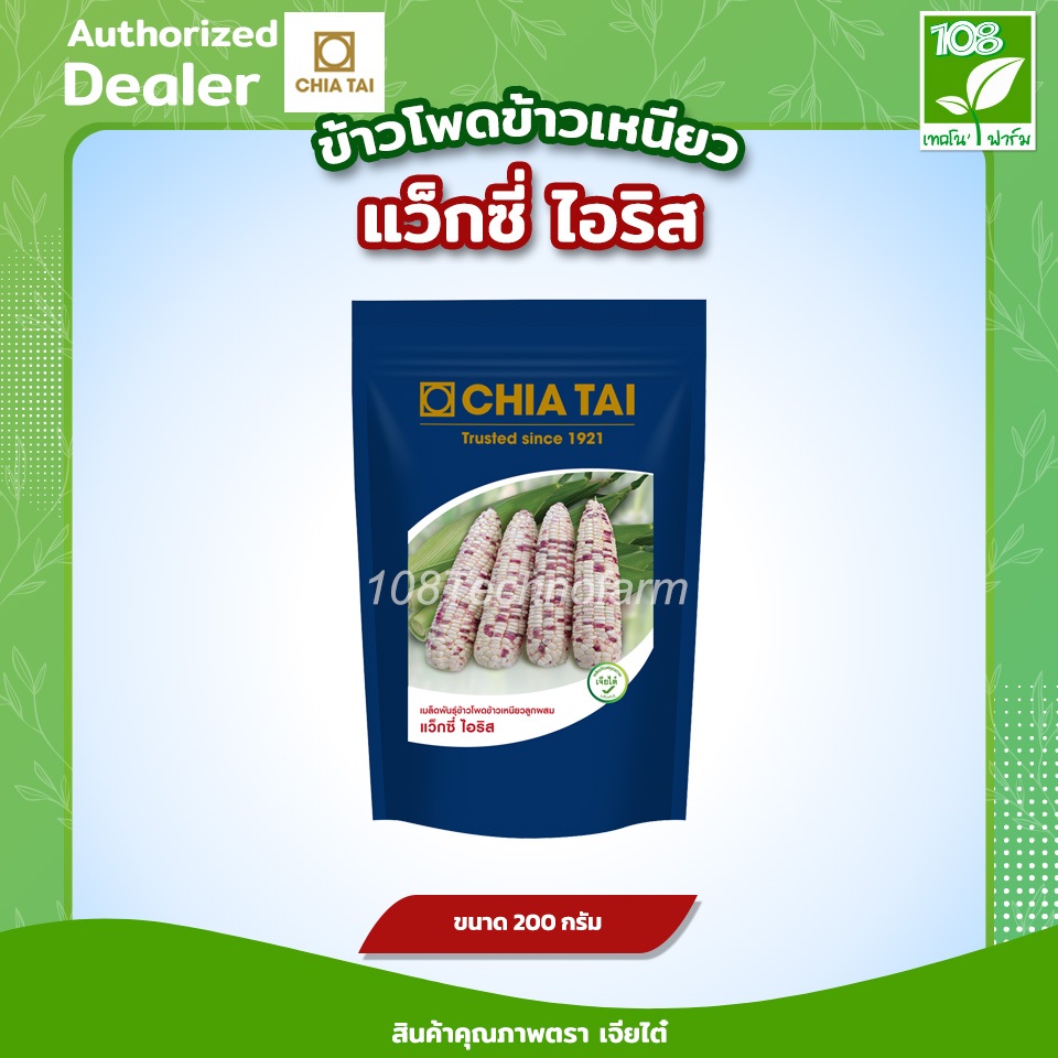 เมล็ดพันธุ์ ข้าวโพดข้าวเหนียว แว็กซี่ ไอริส ขนาด 200 กรัม