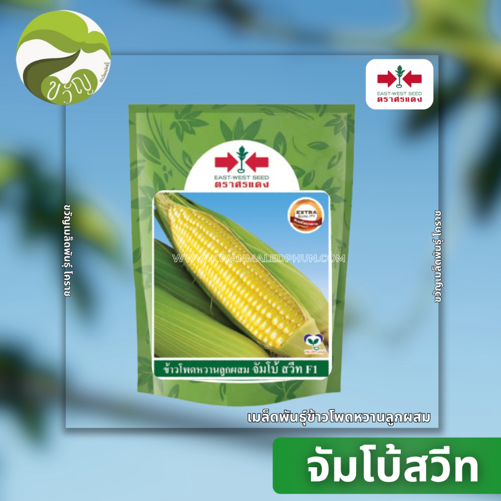 จัมโบ้สวีท เมล็ดพันธุ์ ข้าวโพด ข้าวโพดหวาน ตราศรแดง