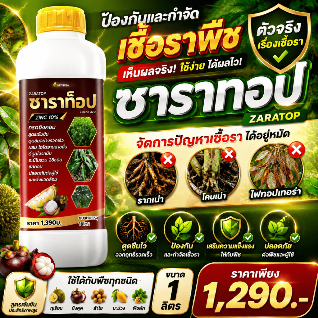 ป้องกันและกำจัดเชื้อราพืช รากเน่า โคนเน่า ไฟทอปเทอร่า ซาราทอป 1 ลิตร