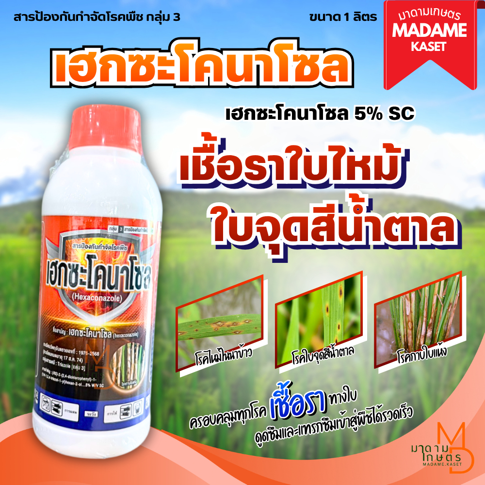 ขายดี! เฮกซะโคนาโซล สูตรน้ำครีม 1 ลิตร ของแท้ฝาส้ม! ป้องกันพร้อมหยุดเชื้อราในนาข้าวและพืชไร่