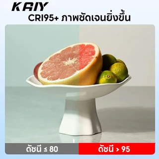 KAIY 300W LED softbox Lighting 50x70cm กล่องไฟ ไฟสตูดิโอ Studio ฉากถ่ายรูป ไฟส่องภาพสำหรับผู้สร้างเนื้อหา ไฟส่องภาพอุณห