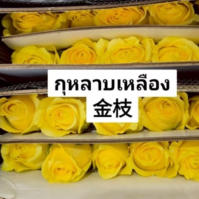 (กทม.กดสั่งแบบส่งด่วนได้นะคะ)ดอกกุหลาบสด โทนสีเหลือง กรุณาทักแชตเพื่อเช็คสต๊อกสีดอกไม้ก่อนกดสั่งนะคะ