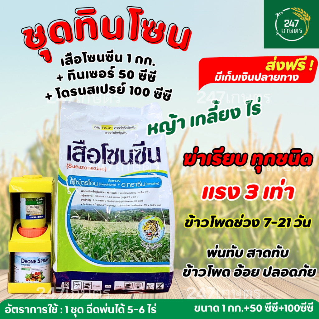 ชุดทินโซน (เสือโซนซีน+ทินเซอร์ 50ซีซี+โดรนสเปรย์ 100ซีซี) กำจัดหญ้าในไร่ข้าวโพดใบแคบ ใบกว้าง 4-5 ไร่ ฉีดอ้อยได้ 3 ไร่