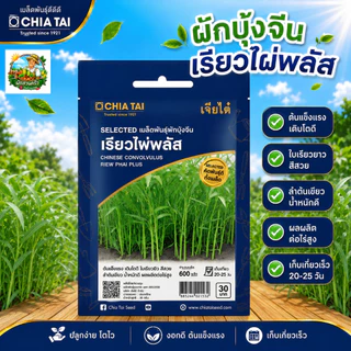 รวมผักเจียไต๋ ผักซองอีซี่ F1 ผักซอง 40 กว่าชนิด เมล็ดพันธุ์คุณภาพดี ปลูกง่าย โตไว #เจียไต๋