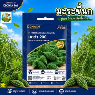 รวมผักเจียไต๋ ผักซองอีซี่ F1 ผักซอง 40 กว่าชนิด เมล็ดพันธุ์คุณภาพดี ปลูกง่าย โตไว #เจียไต๋