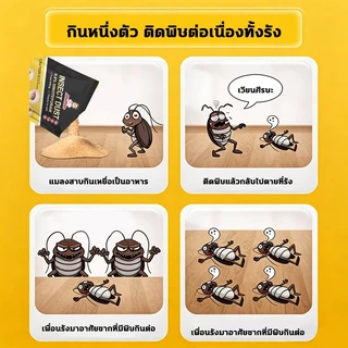 10ปีไม่มีแมลงสาบ‼️ยากำจัดแมลงสาบ ยาฆ่าแมลงสาบ ยากำจัดแมงสาป ไล่แมลงสาบ 100g สูตรปลอดภัย ปลอดภัยสำหรับคนและสัตว์เลี้ยง