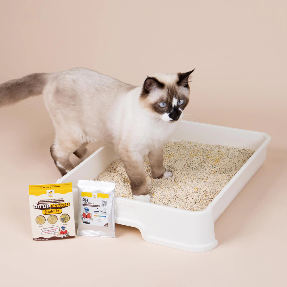 Urban Moof PH Test Beads ผลิตภัณฑ์ทดสอบค่า PH ในปัสสาวะแมว รูปที่ 5