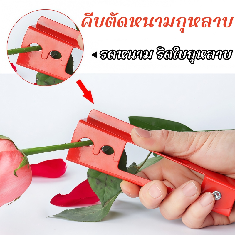 ส่งด่วน คีมตัดหนามกุหลาบ ใช้รูดหนามและริดใบ จัดช่อดอกไม้ได้สะดวก เหมาะสำหรับร้านดอกไม้และงานจัดดอกไม้ทั่วไป