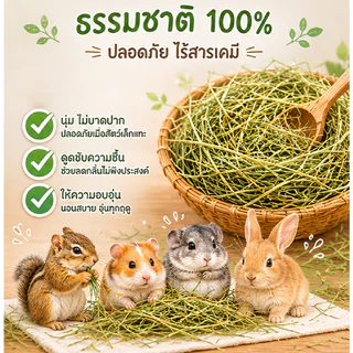 Honeypetzหญ้าทำรังกระรอกนกและสัตว์เล็กอื่นๆหญ้ารังนุ่มขนาด100-200กรัม ราคาถูกสุดๆหญ้านุ่มฟูไม่บาดปาก