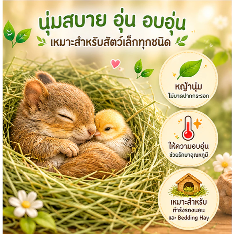 Honeypetzหญ้าทำรังกระรอกนกและสัตว์เล็กอื่นๆหญ้ารังนุ่มขนาด100-200กรัม ราคาถูกสุดๆหญ้านุ่มฟูไม่บาดปาก