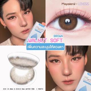 [ของแท้] คอนแทคเลนส์รายวัน Mayalens 1D Walnut Soft Brown วอลนัทซอฟท์ สีน้ำตาลโทนอุ่น แบบสาวซอฟต์เ