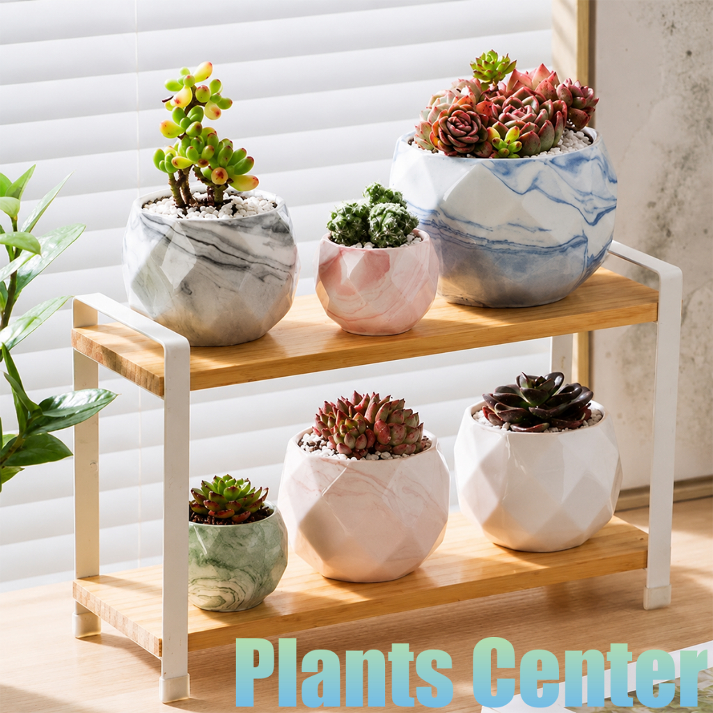 Plants Center T213  กระถางเซรามิกขาวรูปทรงเพชร Diamond  มาพร้อมถาดรองไม้ไผ่คุณภาพดี 4 สี 3 ขนาด