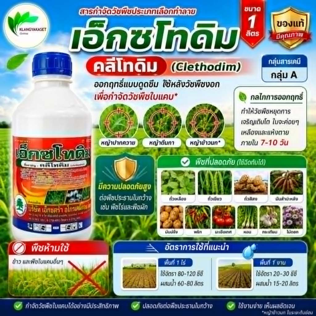 เอ็กซโทดิม คลีโทดิม 1 ลิตร💥 สารกำจัดวัชพืชใบแคบ ทุกชนิด การออกฤทธิ์ ดูดซึมและกำจัดวัชพืชภายหลังงอก ฉีดทับ พริก ถั่ว มะเข