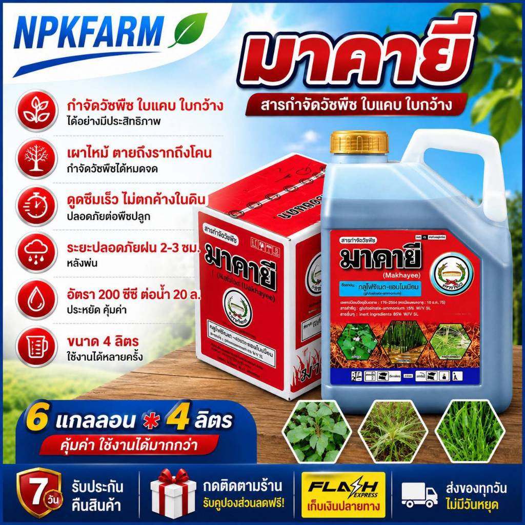 ยกลัง มาคายี ขนาด 4 ลิตร ยกลัง 6 กล ของแท้ ระวังของปลอม กลูโฟซิเนต แอมโมเนียม สูตรทนฝน หวีทอง