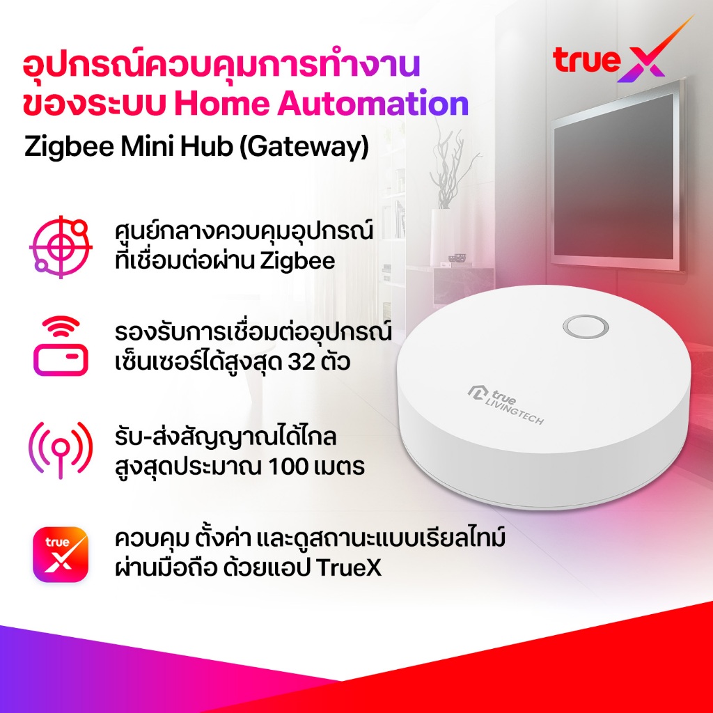 TrueX  Zigbee Mini Hub (Gateway)