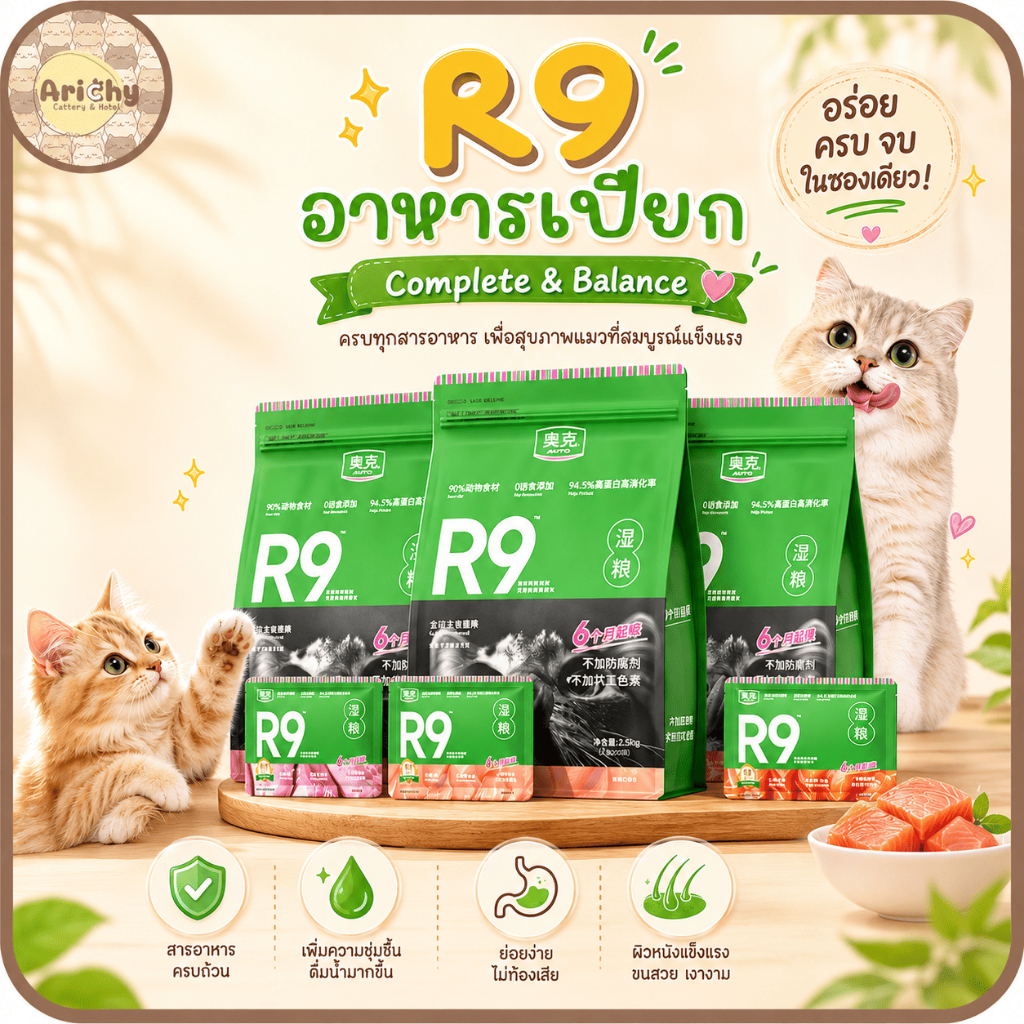 อาหารเปียกแมว JOY PETS R9 60 กรัม โปรตีนสูง ย่อยง่าย