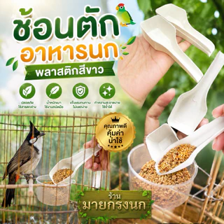 ช้อนตักอาหารนกพลาสติกสีขาว 🔎