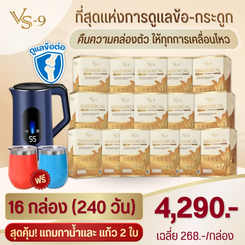 New...!!! GINGERCAL PLUS MK7 : 16 กล่อง+แก้ว2+กาน้ำ — 4290.-