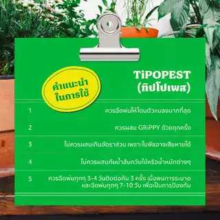 ทิปโปเพสท์ (Tipopest) 500 ml และ 1 L สารสกัดธรรมชาติควบคุมเพลี้ยอ่อน เพลี้ยแป้ง เพลี้ยไฟกุหลาบ มด แมลงหวี่ขาว เอสวี SV