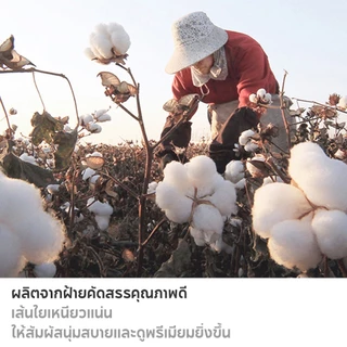 Oufeiai [ซื้อ 5 แถม 5] ถุงเท้าข้อสั้นผู้ใหญ่ ผ้าคอตตอนนุ่ม ใส่สบายตลอดวัน แพ็ค ซื้อ ถุงเท้าซ่อน กันส้นหลุด ระบายอากาศ