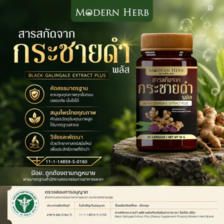 Modern Herb Black Galingale Extract Plus สารสกัดกระชายดำ