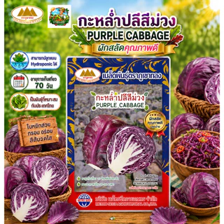 เมล็ดพันธุ์ ผักสลัด ตราภูเขาทอง (มากกว่า25ชนิด) เรดโอ๊ค กรีนโอ๊ค ผักเคล เคลใบหยิก บีทรูท มินิคอส ผัก