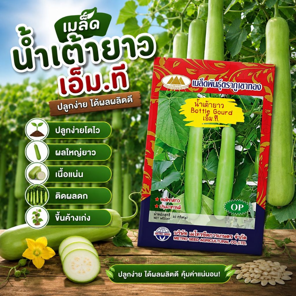 เมล็ดน้ำเต้ายาว เอ็ม.ที. (Bottle Gourd) เมล็ดพันธุ์ เมล็ดพันธุ์ผัก เมล็ดพันธุ์พืช ผักสวนครัว ตราภูเขาทอง