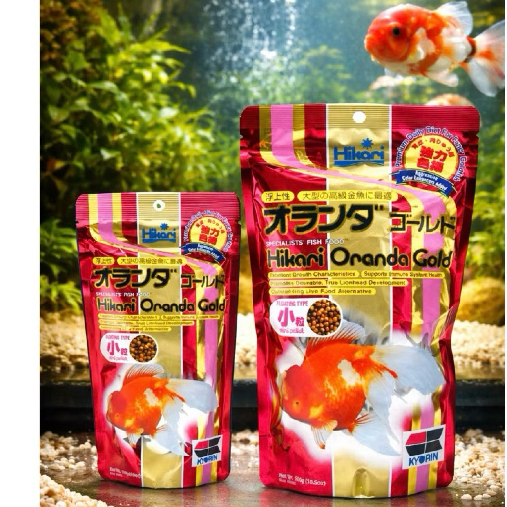 อาหารปลาทอง Hikari Oranda Gold เม็ดลอยสูตรเสริมสร้างสีสันและโครงสร้างปลาให้มีความสมบูรณ์แข็งแรง