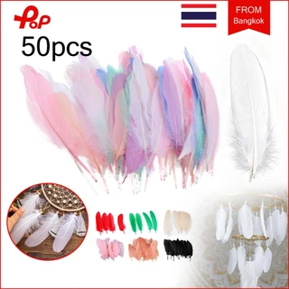 50 ชิ้น ขนห่านธรรมชาติ คละสี ขนนก ขนนกธรรมชาติสีสันสวย สําหรับงานฝีมือ ตกแต่งงานแต่งงาน DIY