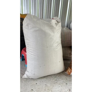 ขุยมะพร้าว ยกกระสอบ ขนาด 10,15 กก.แบบชื้น ขุยชื้น10-20% เนื่องจากหน้าฝน ขุยคุณภาพดี เหมาะปลูกต้นไม้ ตอนกิ่ง