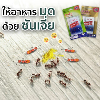 ซันเจี่ย เหยื่อกำจัดมด ยาฆ่ามด ของแท้ 100% เหยื่อตรามด 3 ตัว เหยื่อแบบเม็ด