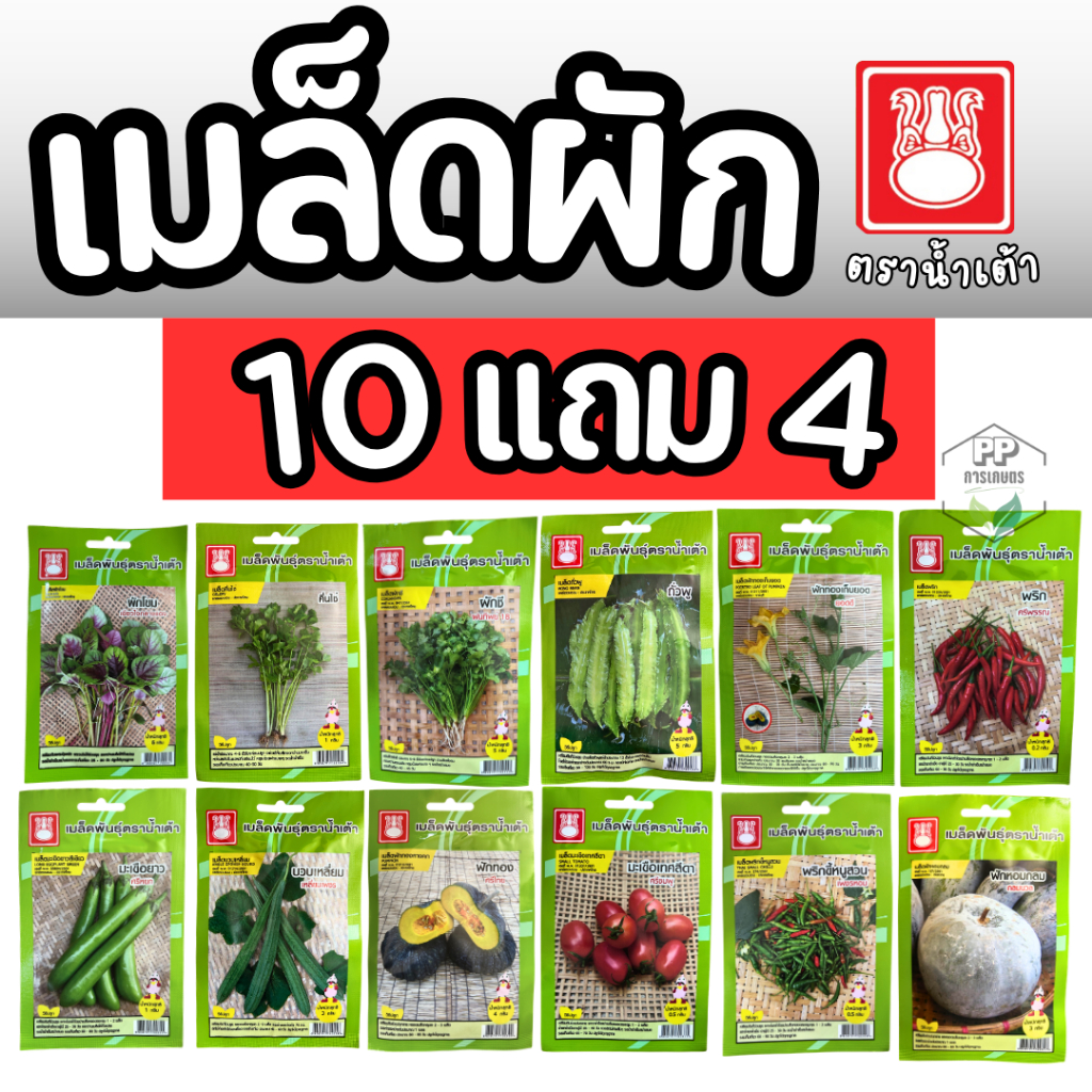 เมล็ดผัก [10 แถม 4] เมล็ดผักซองตราน้ำเต้า เมล็ดผักสวนครัว ผักชี พริก กระเพรา มะเขือเทศ แตงกวา