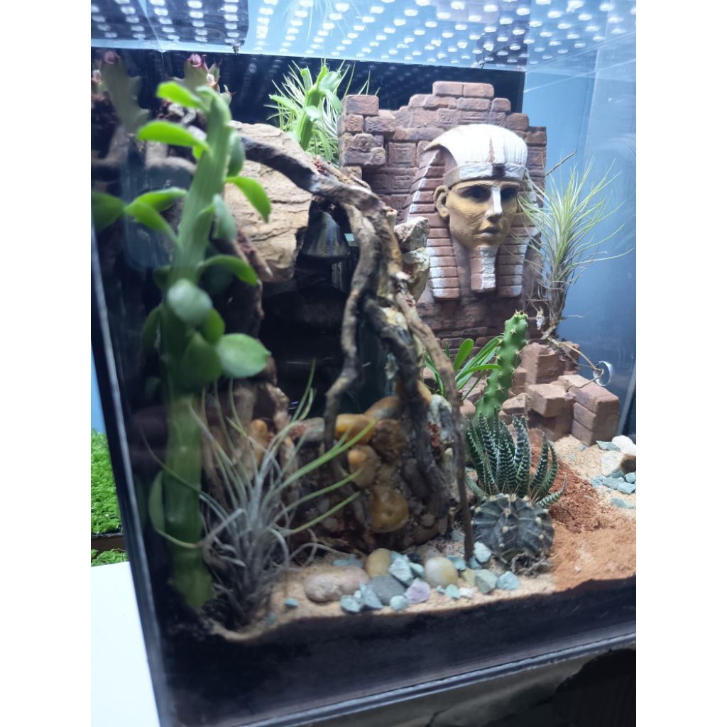 terrariam แนว ทะเลทราย