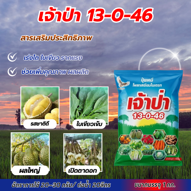 ปุ๋ยสูตร 13-0-46 โพแทสเซียมไนเตรต