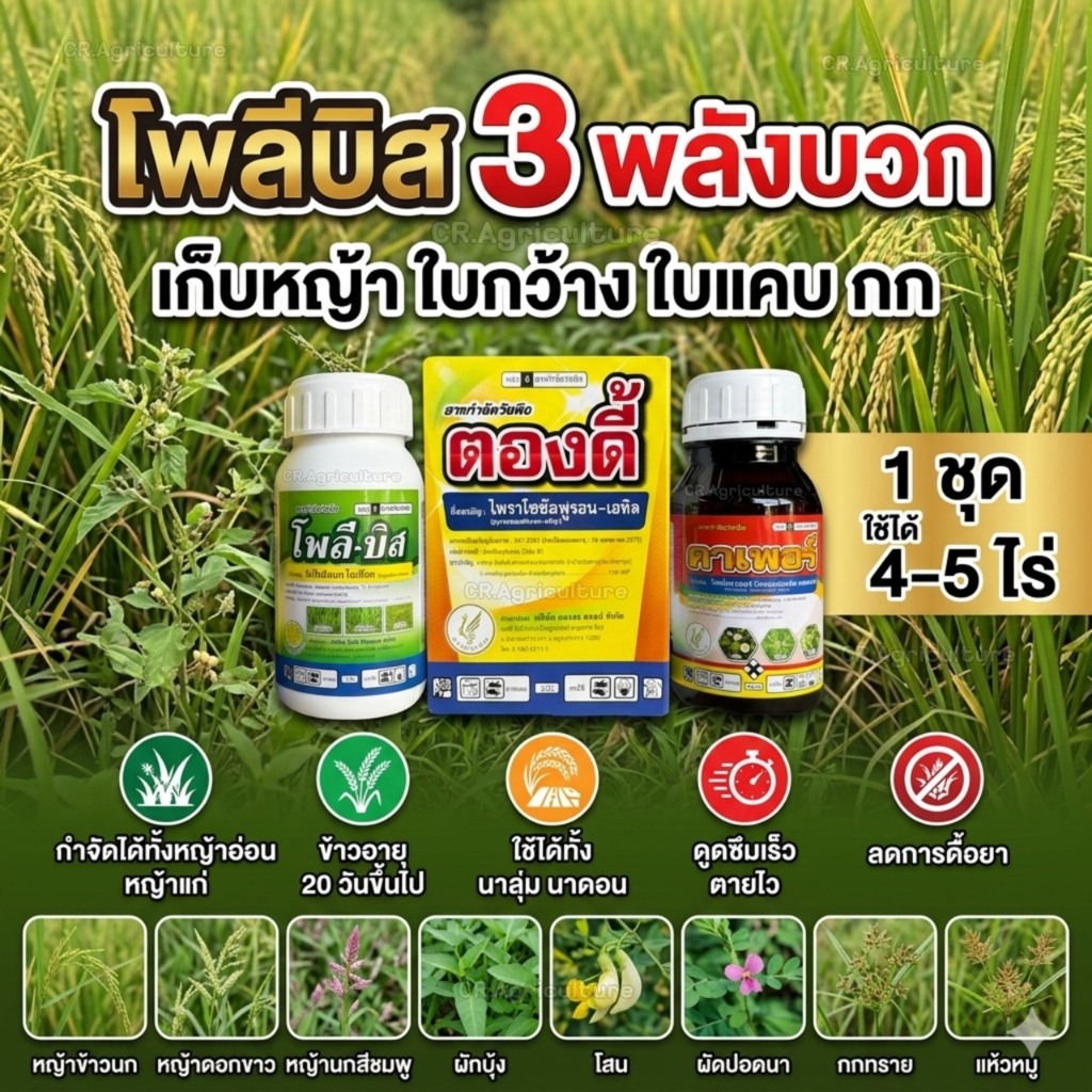 โพลีบิส 3พลังบวก โพลีบิส + ตองดี้ + คาเพอร์ เก็บทุกชนิดในนาข้าว กำจัดหญ้า ใบกว้าง ใบแคบ ตระกลูกก ใช้ได้ 4-5ไร่