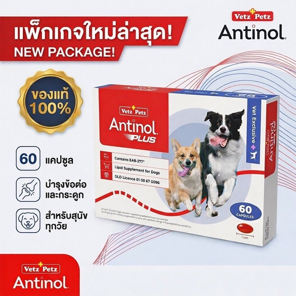 Antinol®️ EAB 277™ for Dogs กล่อง 60 เม็ด สูตรปรับปรุงใหม่ ของแท้