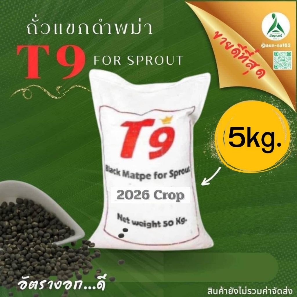 ถั่วแขกดำพม่า T9 ปี2026 (ขนาด 5 กิโล) สำหรับเพราะถั่วงอก