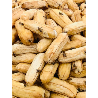 กล้วยตากกลม 800g ✅ ส่งฟรี ‼️แค่กล้วยลูกเล็ก แต่หวานธรรมชาติ นุ่มอร่อย ผลิตเอง สดใหม่ จากโดมที่บ้านบางกระทุ่ม