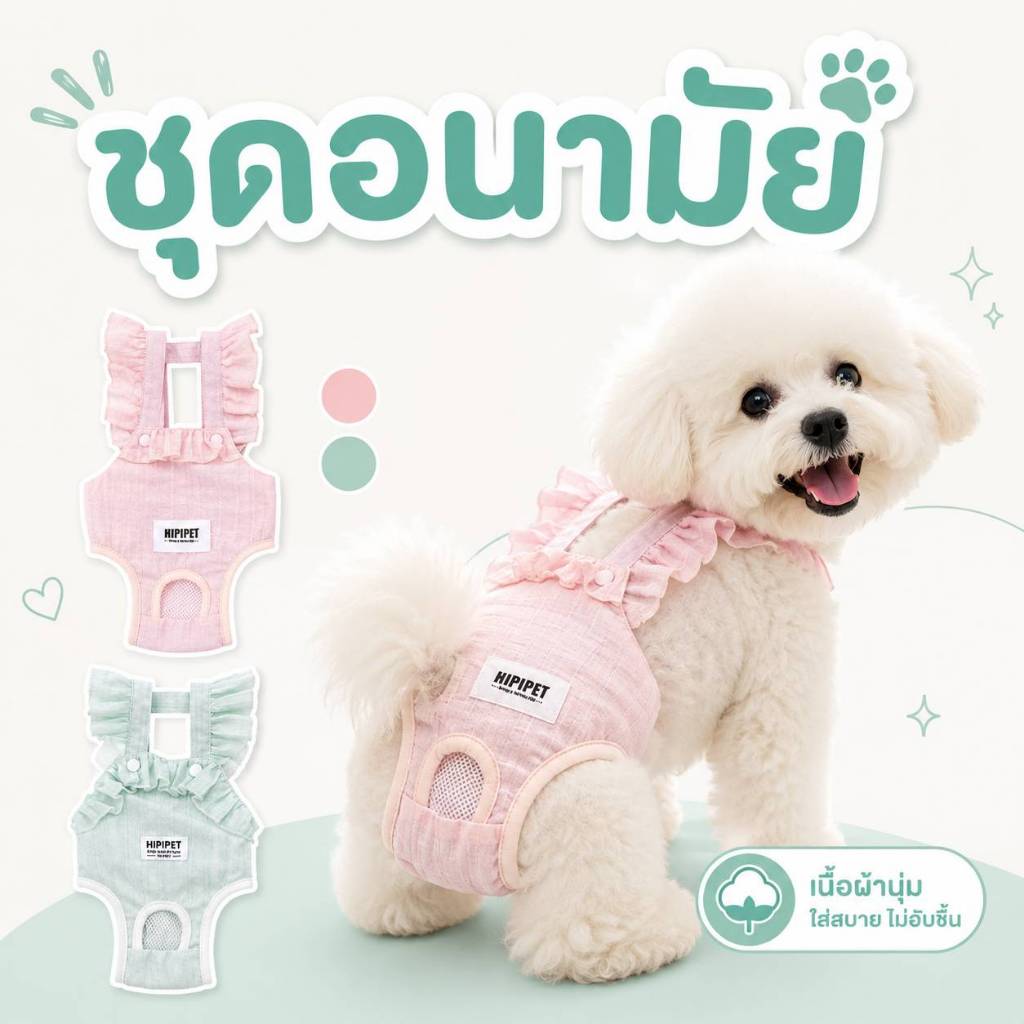 ชุดดอนามัยสุนัข สำหรับสุนัขเป็นฮีทหรือป้องกันการผสมพันธุ์