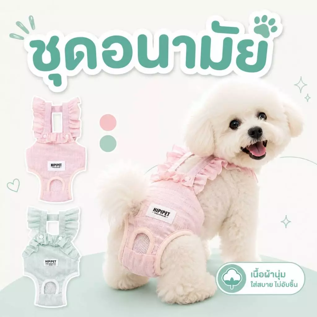 ชุดดอนามัยสุนัข สำหรับสุนัขเป็นฮีทหรือป้องกันการผสมพันธุ์