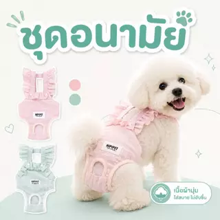 ชุดดอนามัยสุนัข สำหรับสุนัขเป็นฮีทหรือป้องกันการผสมพันธุ์