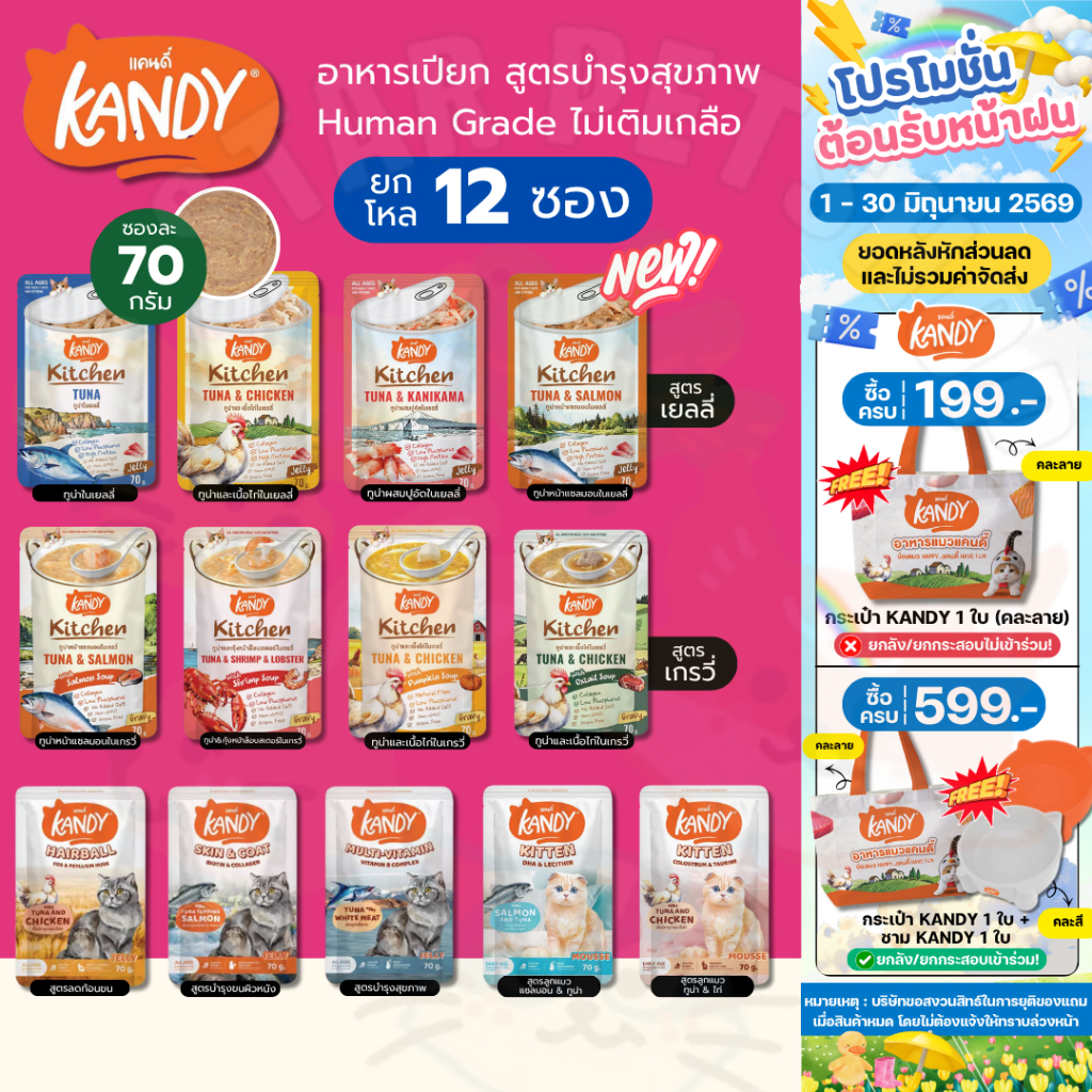 Kandy อาหารเปียก Holistic Grain Free ทูน่าเนื้อขาว ไม่เติมเกลือ สูตรดูแลสุขภาพ ยกโหล 70g*12ซอง