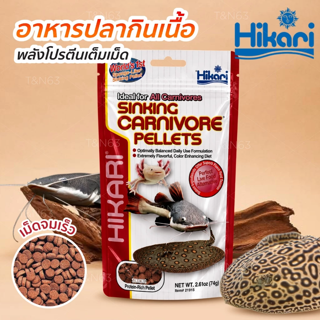 อาหารปลากินเนื้อ เม็ดจม Hikari Sinking Carnivore Pellets สำหรับปลาก้นตู้ โปรตีนสูง
