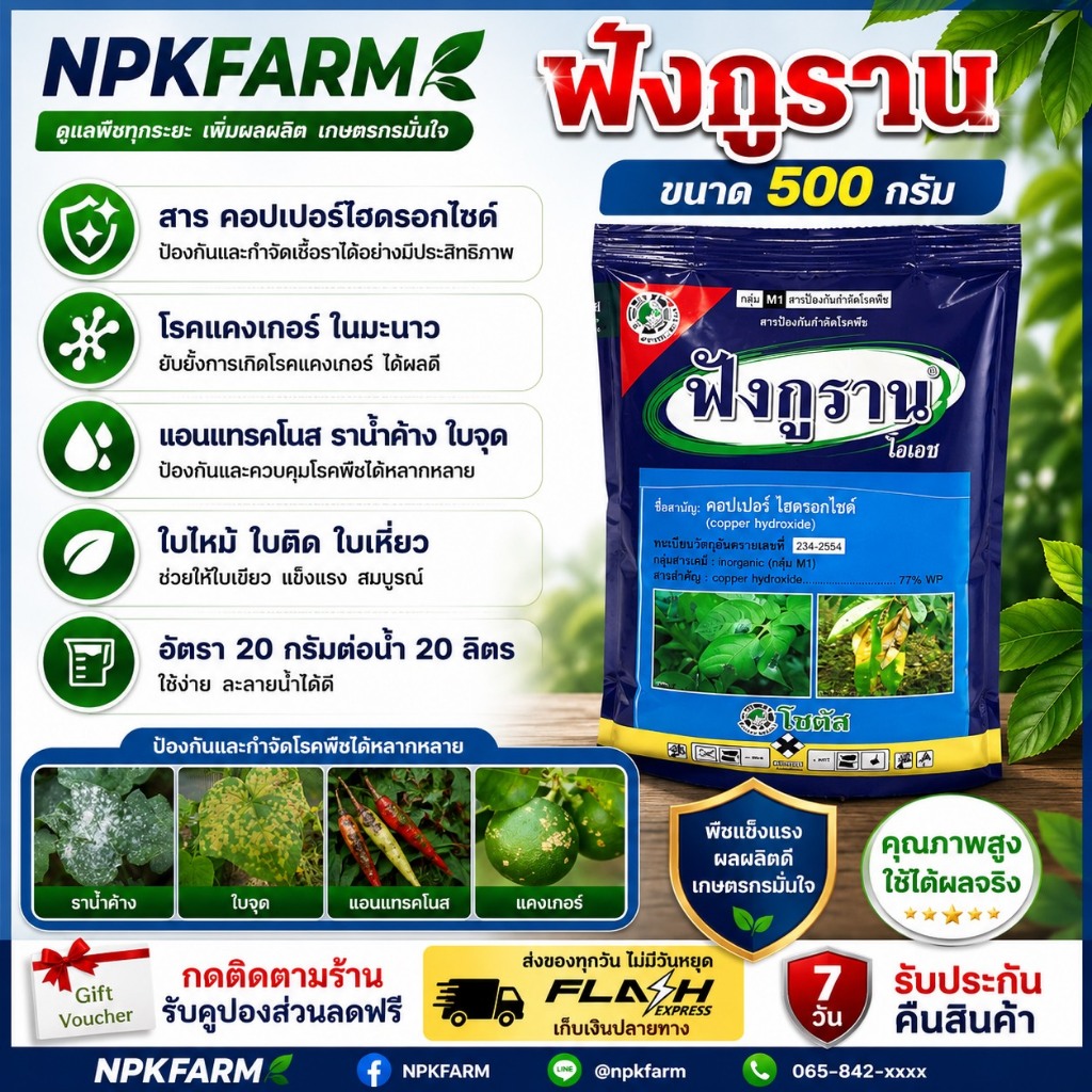 โซตัส ฟังกูราน ขนาด 500 กรัม คอปเปอร์ไฮดรอกไซด์ สูตรทนฝน กำจัดเชื้อรา แคงเกอร์ แอนแทรคโนส ราน้ำค้าง